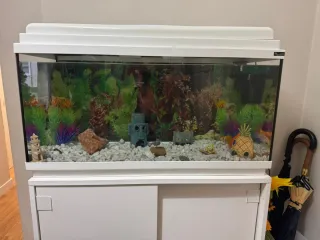 Acuario 80L completo