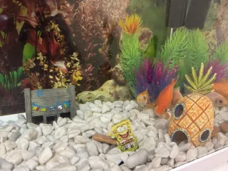 Acuario 80L completo