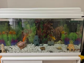 Acuario 80L completo