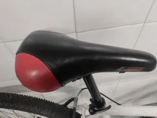 Bicicleta de Montaña MX