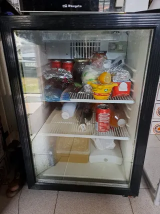 Mini nevera expositora