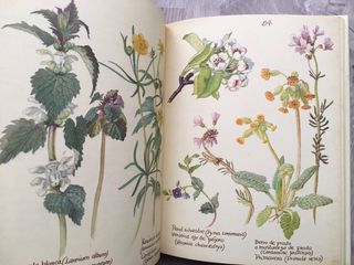 La felicidad de vivir con la naturaleza