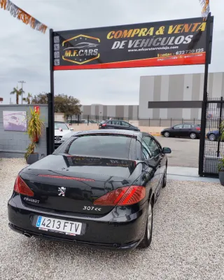 Peugeot 307 2007