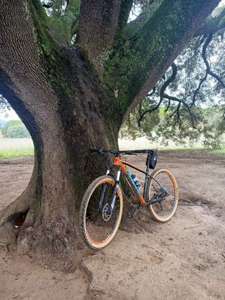 Bicicleta Lapierre 29' Monoplato