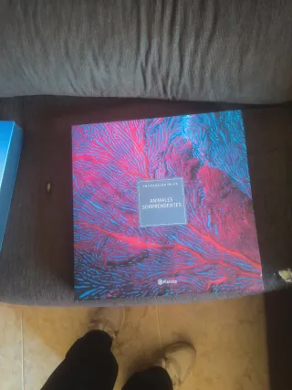 Libro Lugares Sagrados