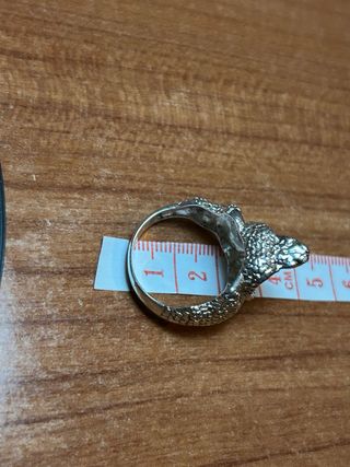 Anillo y pulsera cobra Plata 925