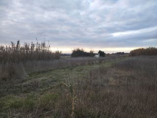 Terreno Rústico Regadío en Grañén. 2,08 hectáreas