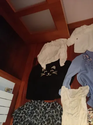 Lote Ropa Mujer: 5 Camicie, 7 Magliette jersey xl