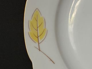 🇩🇪 6 Platos Postre Bavaria Porcelana Dorada