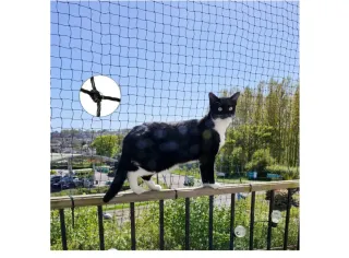 Red seguridad gatos Ancecos 8x3m