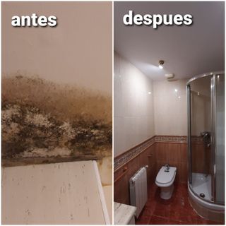 Manitas carpintero pintor alicatador albañil suelo