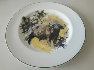 Platos Porcelana Wedgwood