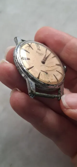 Orologio Phigied Extra Antimagnetico