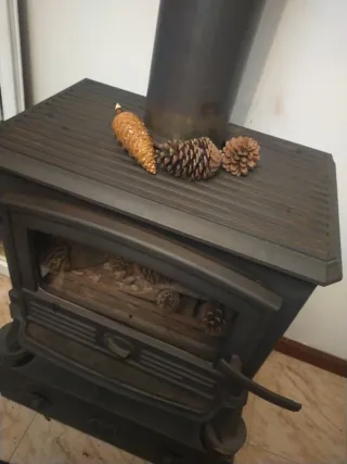 REBAJADA  . HOY DOMINGO. Estufa de leña chimenea