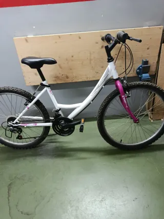 Bicicleta de niña de 24 pulgadas