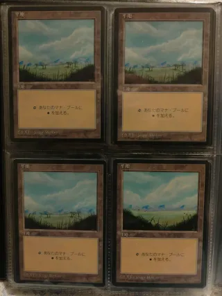 Magic The Gathering Carte Collezionabili