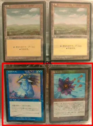 Magic The Gathering Carte Collezionabili