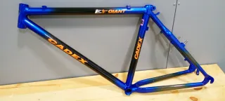 Cuadro Giant Cadex 1