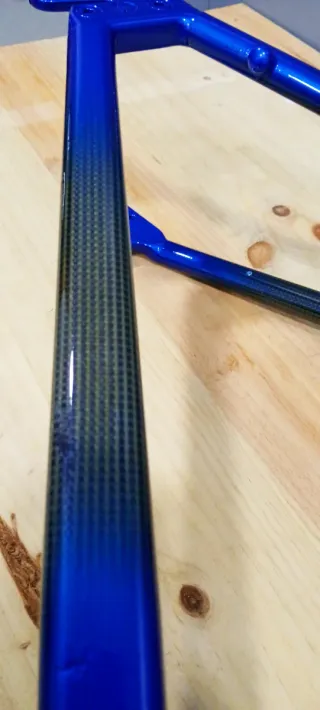 Cuadro Giant Cadex 1