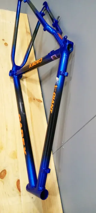 Cuadro Giant Cadex 1