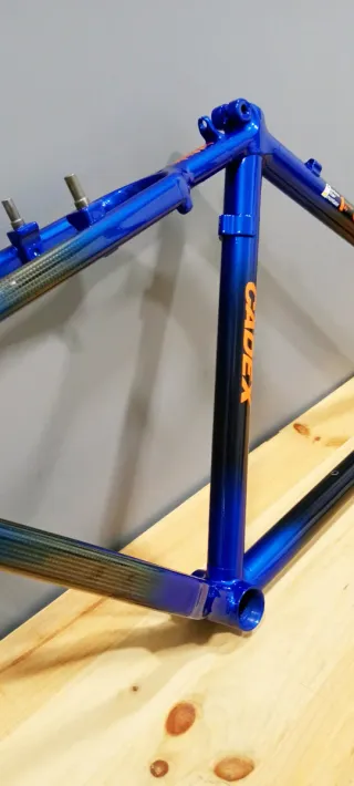 Cuadro Giant Cadex 1