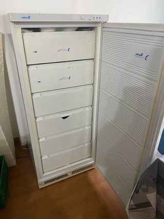 Congelatore verticale EDESA