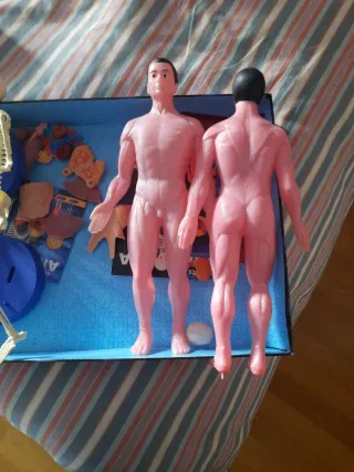 Juego Educativo Conoce Tu Anatomía