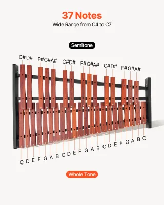 Glockenspiel Diatonico Xilofono 37 Note in Legno