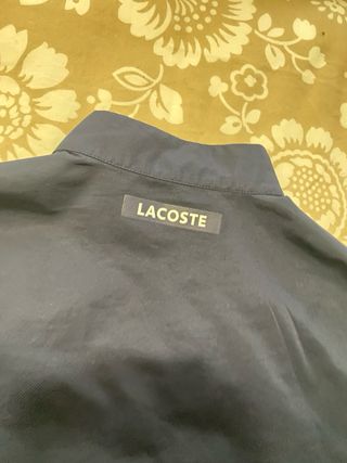 Chándal Lacoste Azul y Turquesa Talla 16 años