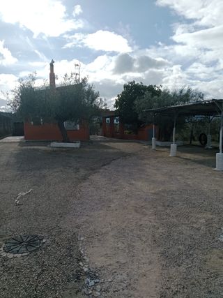 Caseta de campo, con terreno y olivos.