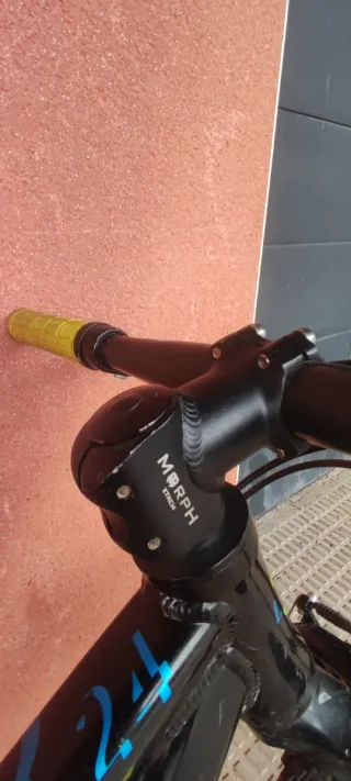 Bicicleta Mondraker 24 Cuadro Cuero