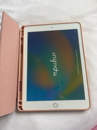 Apple iPad Dorado con Funda y Caja