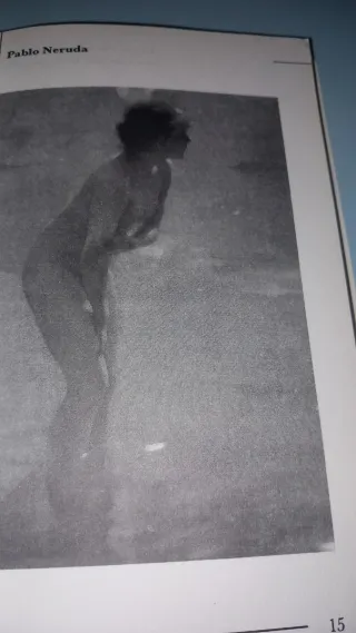 Veinte poemas de amor y una canción desesperada.