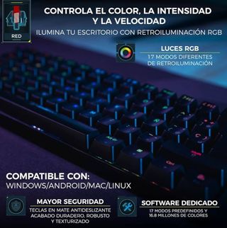 Teclado ordenador