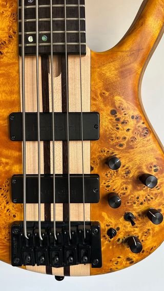 Cort A5 Plus Singlecut Bartolini USA
