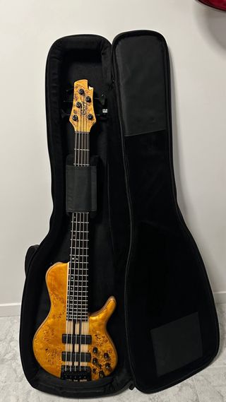 Cort A5 Plus Singlecut Bartolini USA