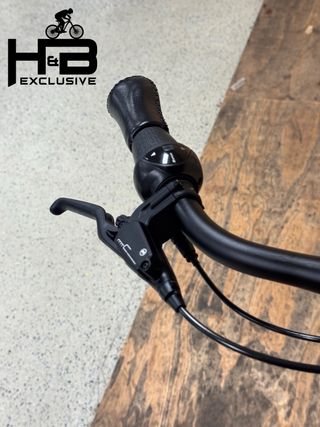 Gazelle Avignon C8 HMB Connect Shimano Nexus 2024