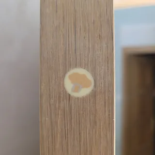 Puertas madera maciza interior y salón