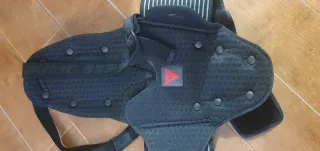 Espaldera Dainese Protector Moto