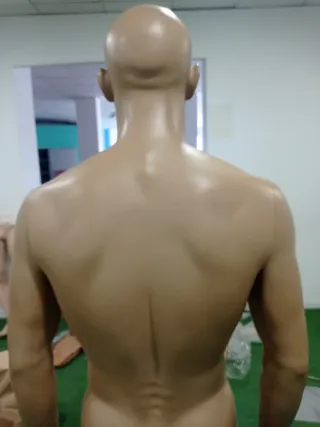 Maniquí hombre torso musculoso