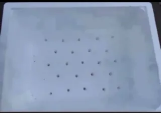 Kit Lombricompostera