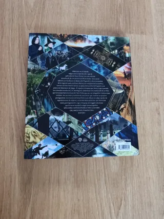 Libro Harry Potter