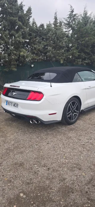 Ford Mustang 2019