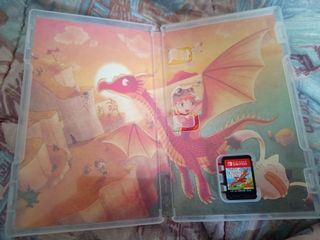 Little Dragons Cafe Nintendo Switch