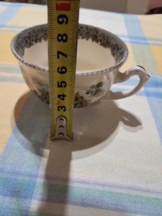 Taza y plato té vintage , Cartuja "Viejo Molino"