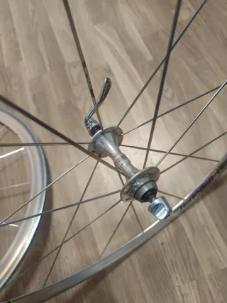 Ruedas Campagnolo Shamal cubierta