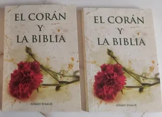 Lote de 3 libros religiosos en español.