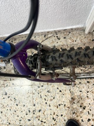 Bicicleta de Montaña Morada y Azul