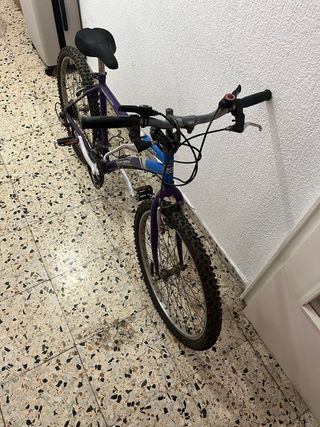 Bicicleta de Montaña Morada y Azul