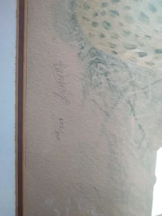 Cuadro de guepardo en papel